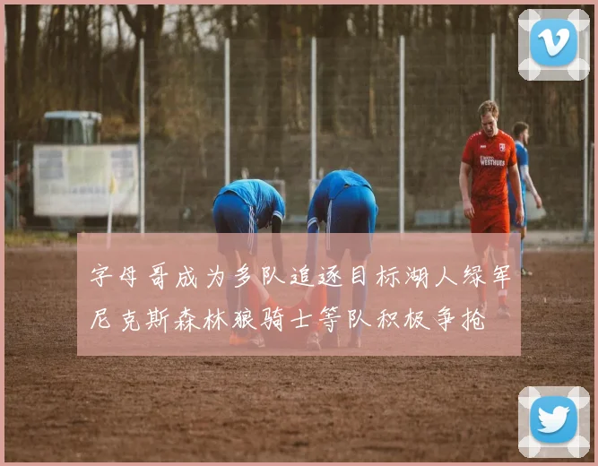 字母哥成为多队追逐目标湖人绿军尼克斯森林狼骑士等队积极争抢