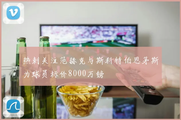 热刺关注范赫克与斯科特伯恩茅斯为球员标价8000万镑